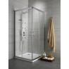 Radaway Premium Plus C kvadratinė dušo kabina 90x90 cm