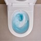 Geberit AquaClean Alba pakabinamas klozetas su apiplovimo funkcija, blizgus baltas, 146350011