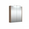 RB veidrodinė spintelė su LED apšvietimu, IP44, varinis ąžuolas, 58x65 cm, 1402348