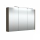 RB veidrodinė spintelė su LED apšvietimu, IP44, rudas ąžuolas, 98x65 cm, 1402720